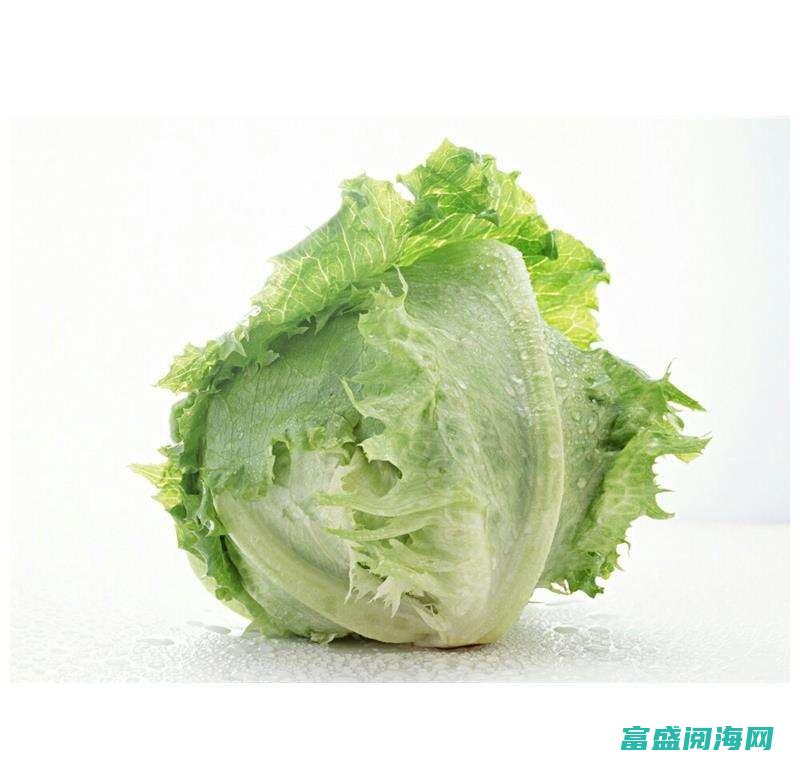 西生菜的简单做法，让你轻松享受清新蔬菜的美味